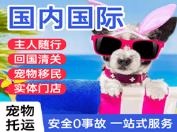 白莲机场快递国际宠物托运 【国